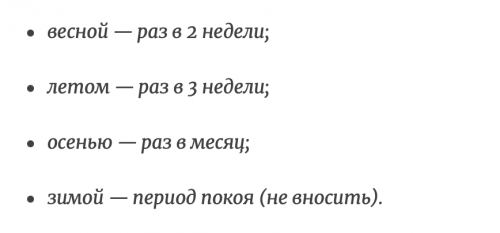 Моя герань еще никогда так пышно не цвела: бабушка-цветовод посоветовала подкормку