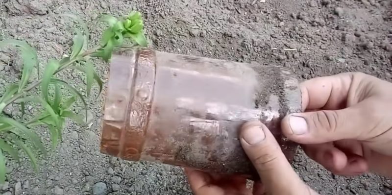 Эффективный способ посадки кабачков и огурцов с пластиковой бутылкой