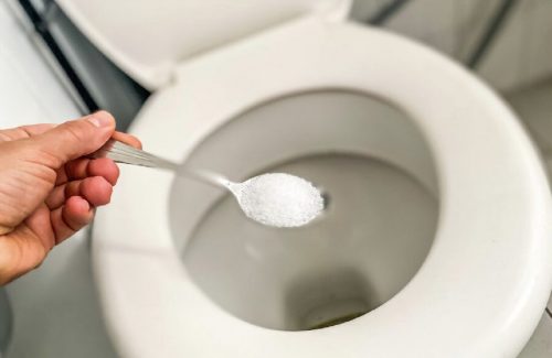 Зачем немецкие хозяйки сыпят в унитаз ложку соли перед тем, как к ним придут в гости