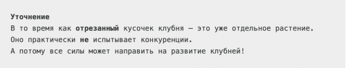 Китайский метод посадки картофеля, который в разы повышает урожайность