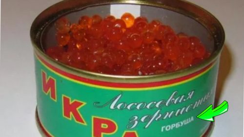 Покажу 1 фразу на железной банке с икрой, чтобы не купить подмену: делюсь хитростью производителей