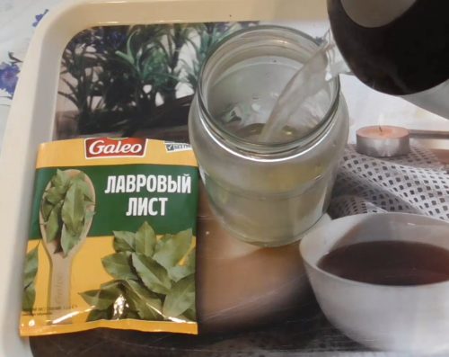 Всего 2 листика этого растения прогонят мошек и других вредителей с домашних цветов и рассада