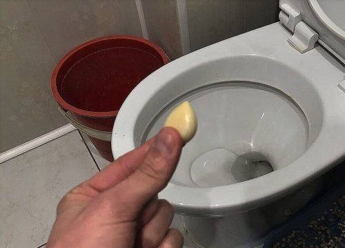Бросьте чеснок в унитаз. Вы будете удивлены, но чеснок в унитазе творит чудеса