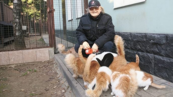 «Живет с кошками, дети давно отвернулись»: Поклонники едва узнали постаревшего Юрия Антонова