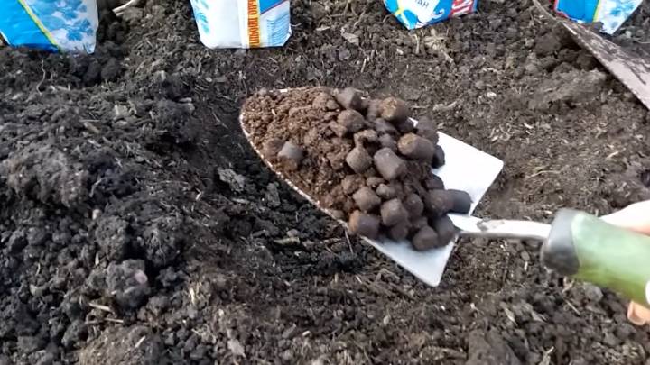 Положите в лунку, и огурчики неожиданно завалят урожаем