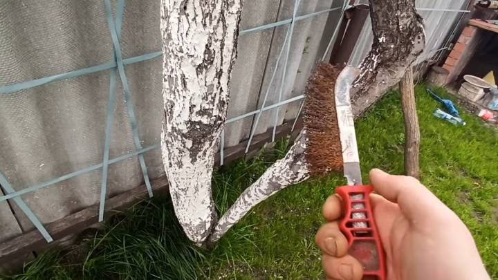 Хитрый способ от умельца: побелил 1 раз и забыл!