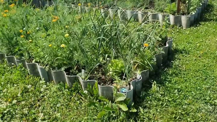 Практичные дорожки в огороде: бюджетно, легко и под силу каждому