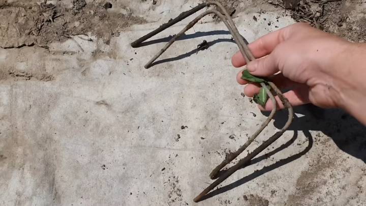 Практичные дорожки в огороде: бюджетно, легко и под силу каждому