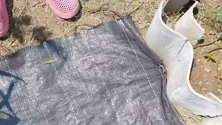 Практичные дорожки в огороде: бюджетно, легко и под силу каждому