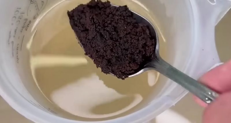 Рассада будет крепкая и коренастая, если приготовить это бесплатную подкормку