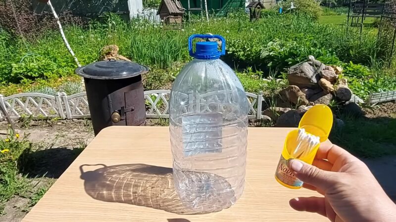 Бесплатный капельный полив, который сэкономит силы и деньги