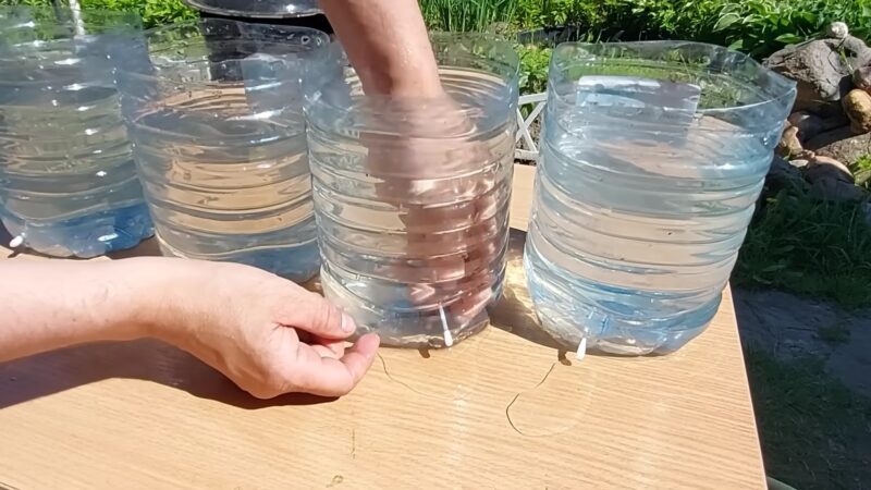 Бесплатный капельный полив, который сэкономит силы и деньги