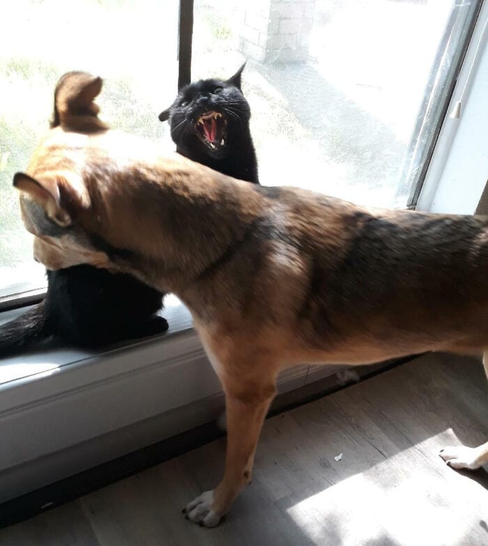 За секунду до катастрофы: фотографии, после которых все пошло не по плану