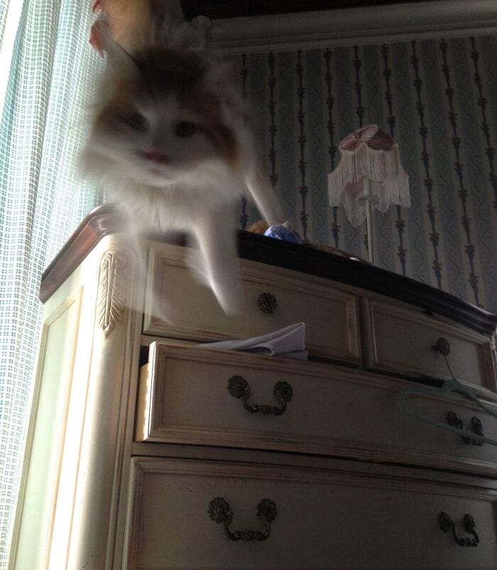 За секунду до катастрофы: фотографии, после которых все пошло не по плану