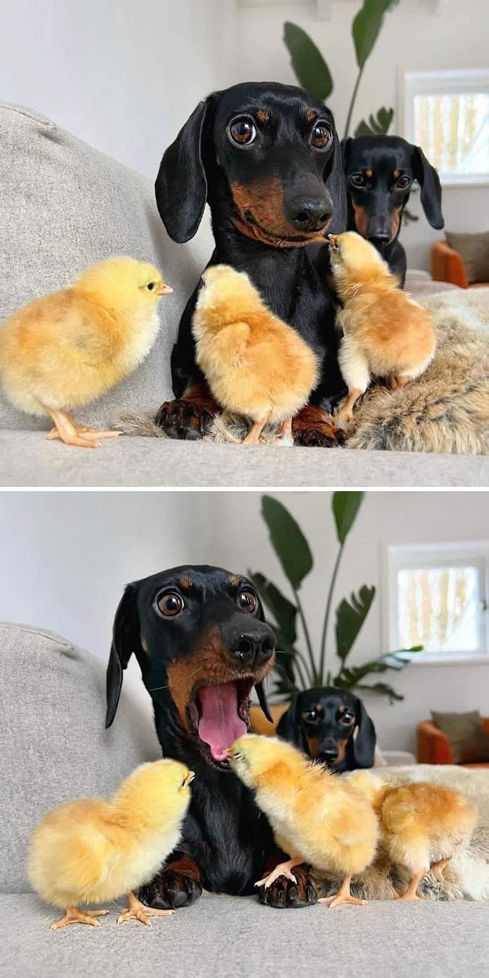 За секунду до катастрофы: фотографии, после которых все пошло не по плану