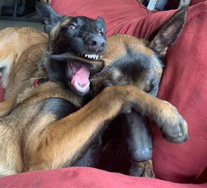 За секунду до катастрофы: фотографии, после которых все пошло не по плану