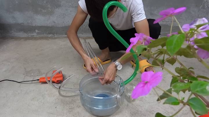 Шланг + бутылка стали диковинкой нашего участка! Бесподобно и красиво