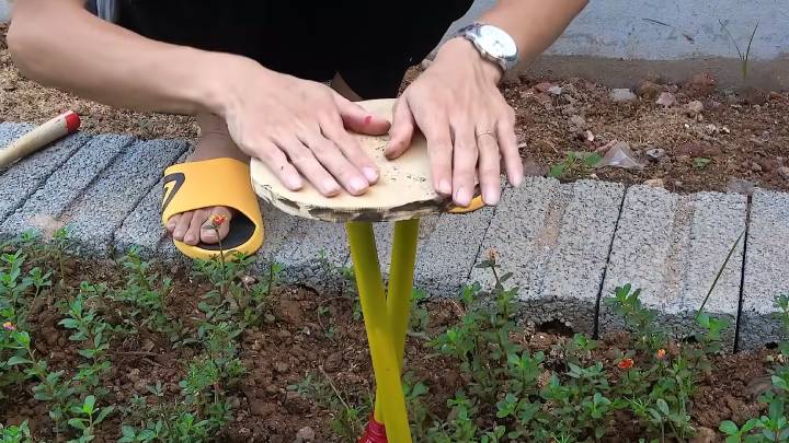 Шланг + бутылка стали диковинкой нашего участка! Бесподобно и красиво