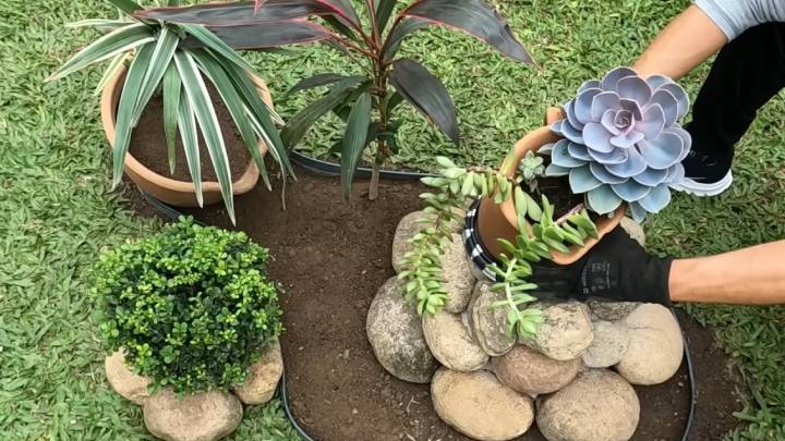 Навыки моего соседа-садовода впечатляют: так клумбы оформляет только он. Подсмотрела и повторила