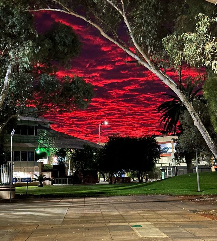 25+ любопытных явлений, которые посчастливилось увидеть лишь некоторым людям