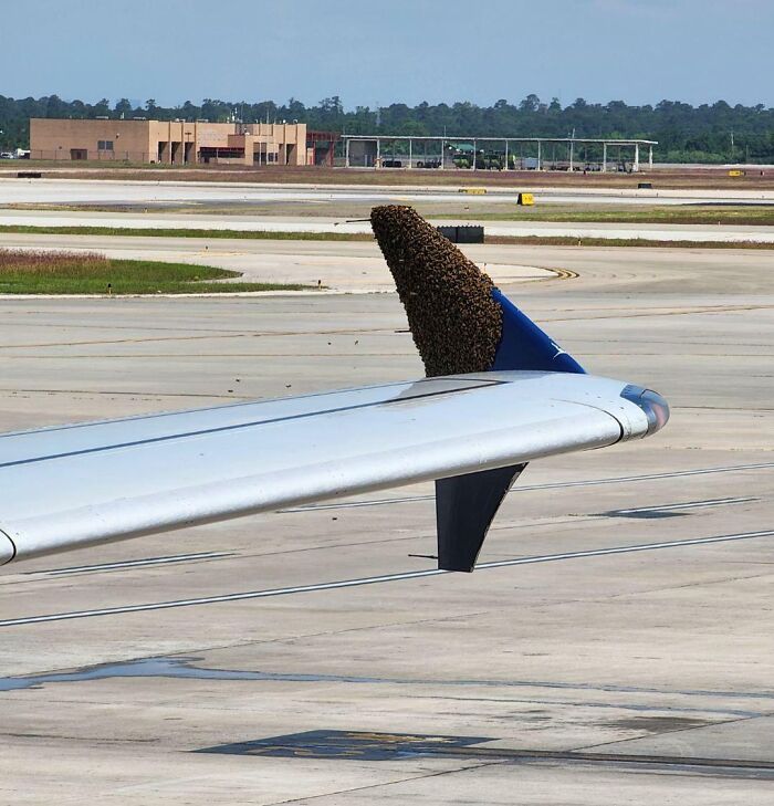 25+ любопытных явлений, которые посчастливилось увидеть лишь некоторым людям