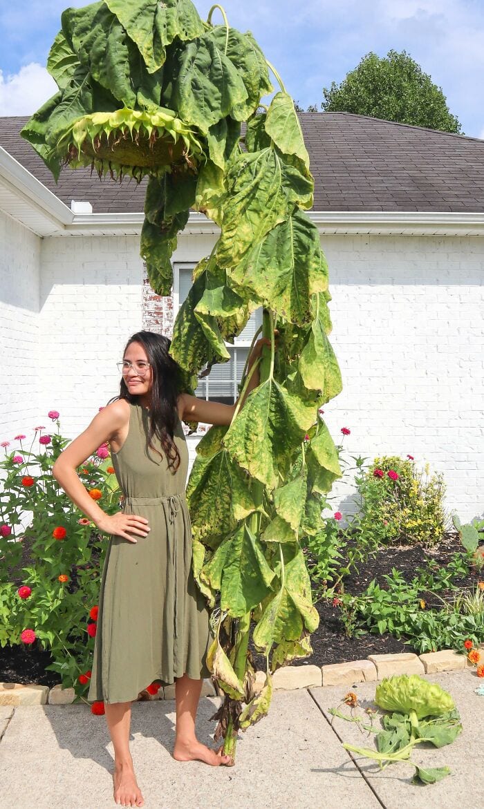 25+ любопытных явлений, которые посчастливилось увидеть лишь некоторым людям