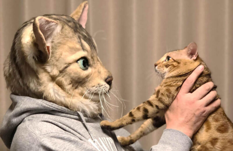 Топ-16 безумных, а иногда полезных японских изобретении, которые помогаю им в повседневной жизни