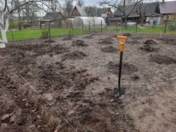 Лунный календарь огородника и садовода на 18-24 марта: что и когда сажать