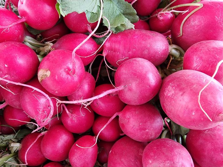 Как вырастить сочный редис: опытные дачники назвали 2 основных условия Как вырастить сочный редис: опытные дачники назвали 2 основных условия