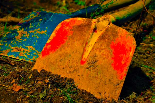 Лопату в руки беру редко, грядки никогда не копаю, а земля как пух: делюсь своим опытом