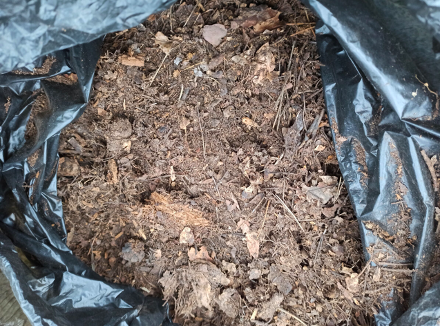 Лопату в руки беру редко, грядки никогда не копаю, а земля как пух: делюсь своим опытом