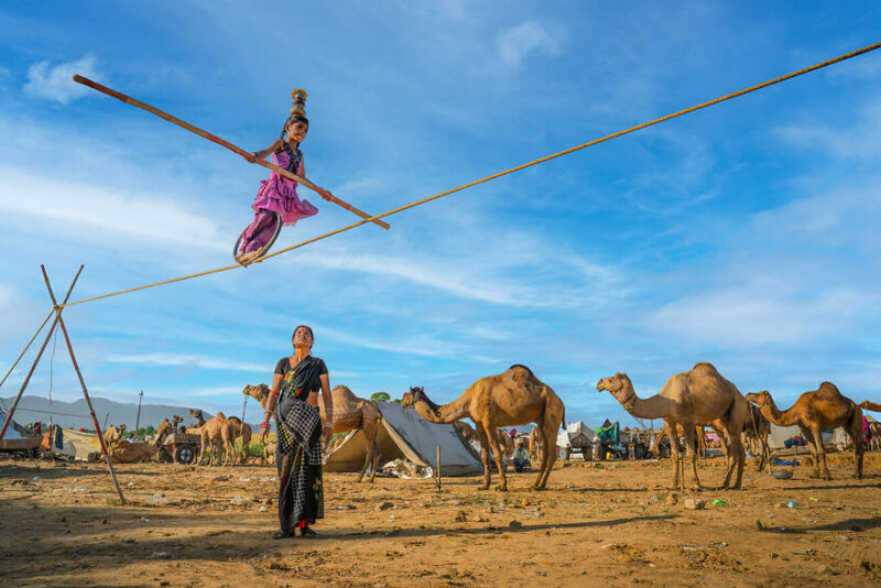 20 лучших фотографий со всего мира по версии All About Photo Awards 2024