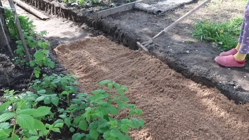 Бюджетные дорожки из бетона на участке женскими руками. Просто и быстро, справится каждый