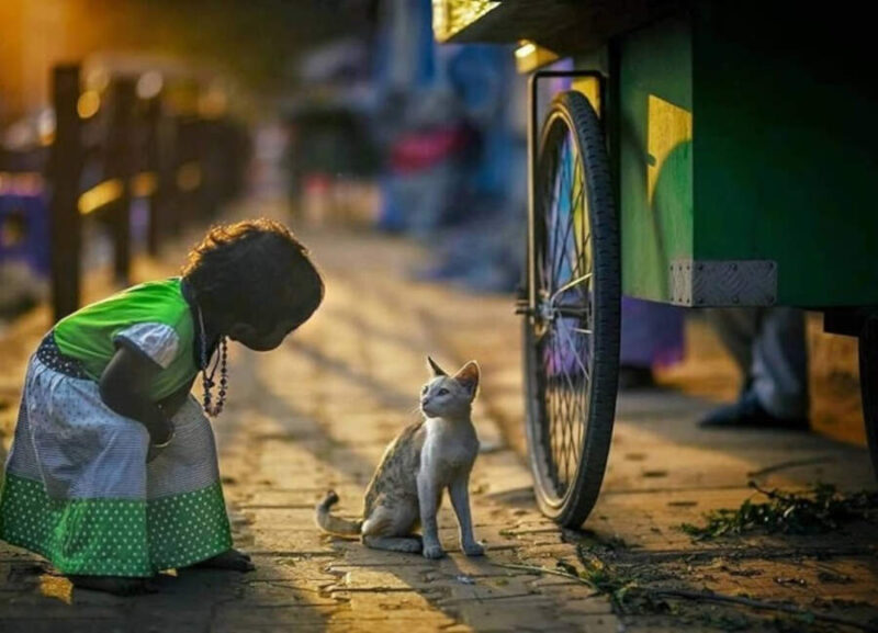 15+ фотографий, демонстрирующих чудеса нашей планеты: улыбки и мгновения жизни