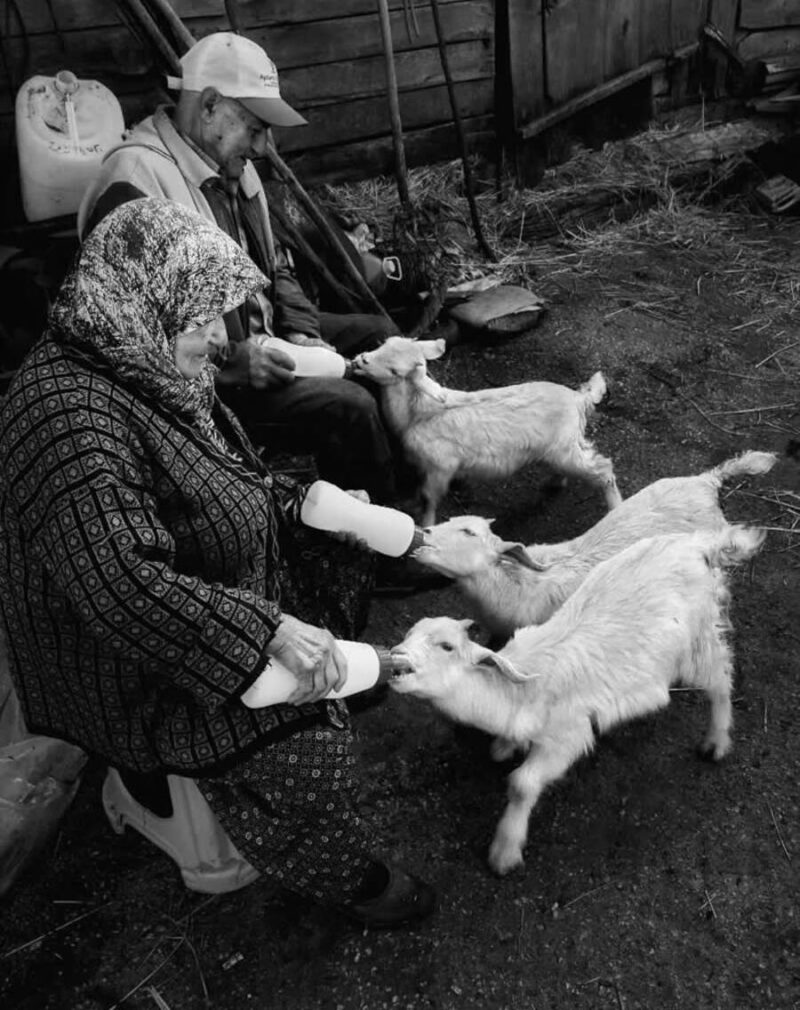 15+ фотографий, демонстрирующих чудеса нашей планеты: улыбки и мгновения жизни