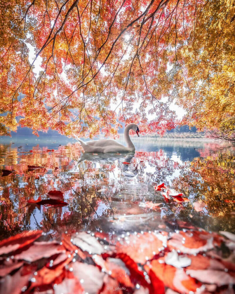 15+ фотографий, демонстрирующих чудеса нашей планеты: улыбки и мгновения жизни